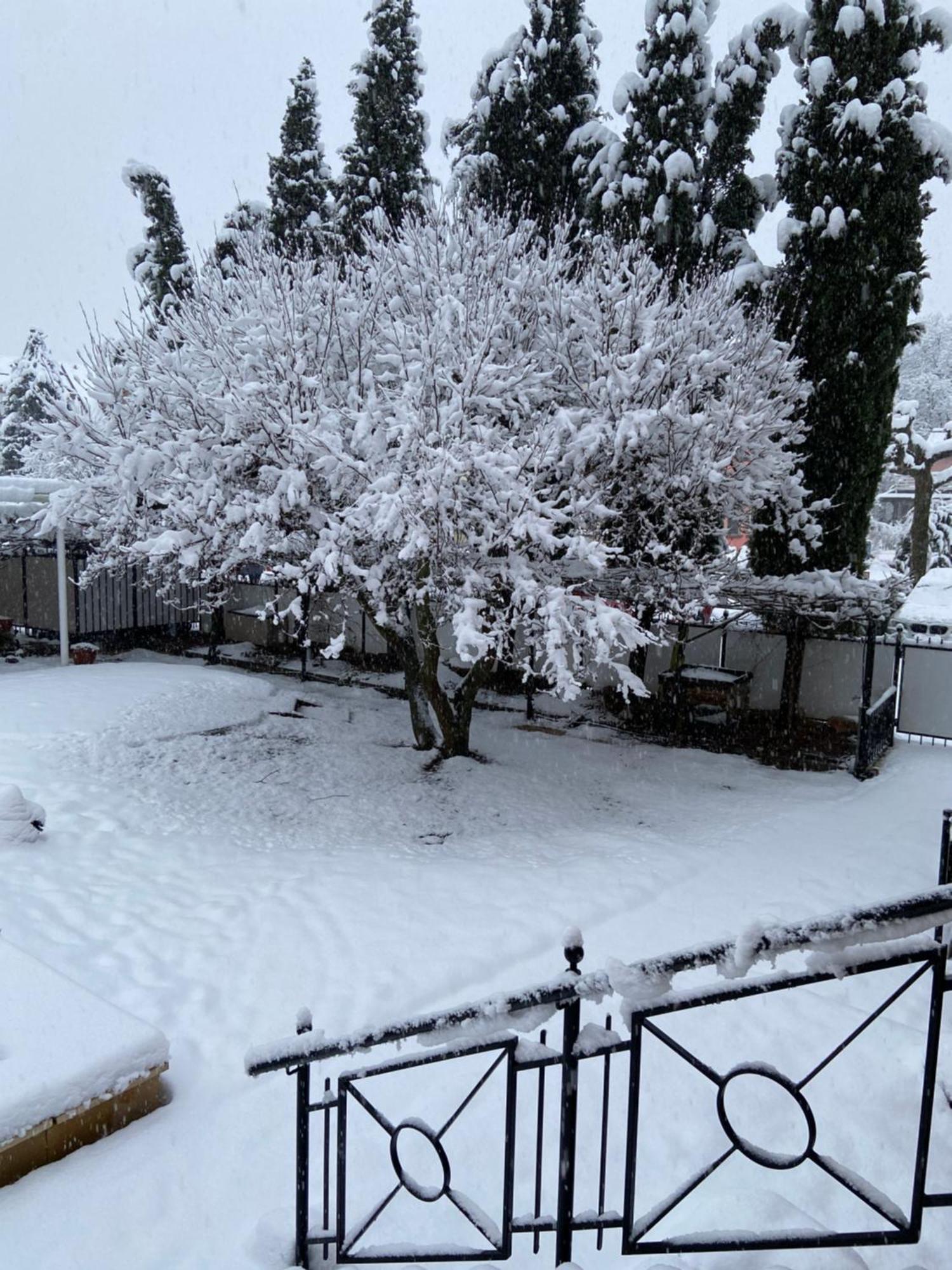 Hotel Hofmann Zur Muehle Bad Krozingen Εξωτερικό φωτογραφία