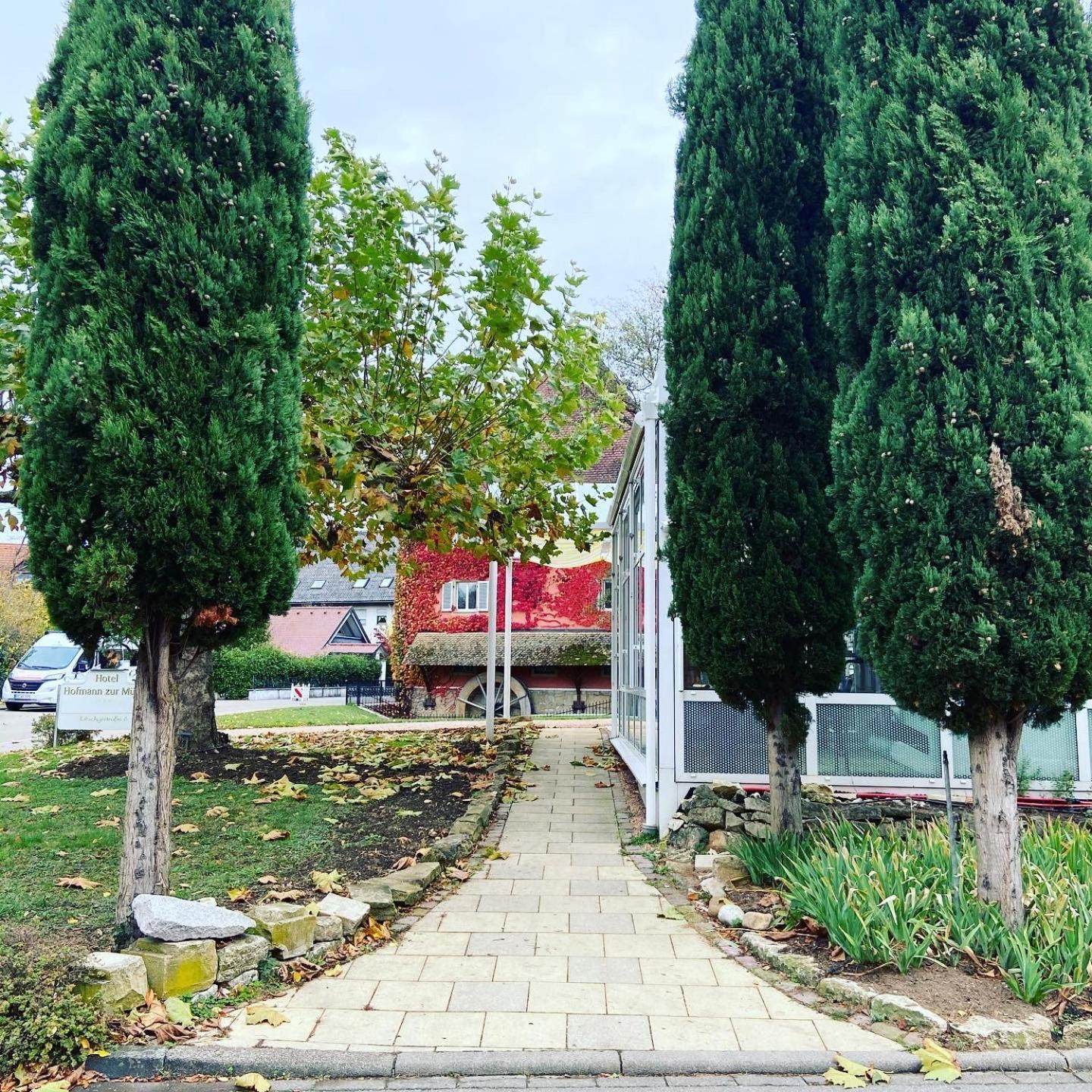 Hotel Hofmann Zur Muehle Bad Krozingen Εξωτερικό φωτογραφία