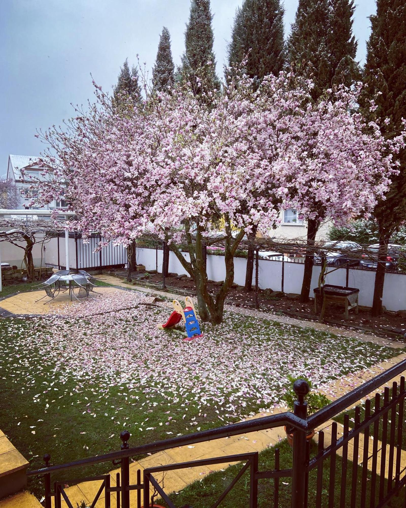 Hotel Hofmann Zur Muehle Bad Krozingen Εξωτερικό φωτογραφία