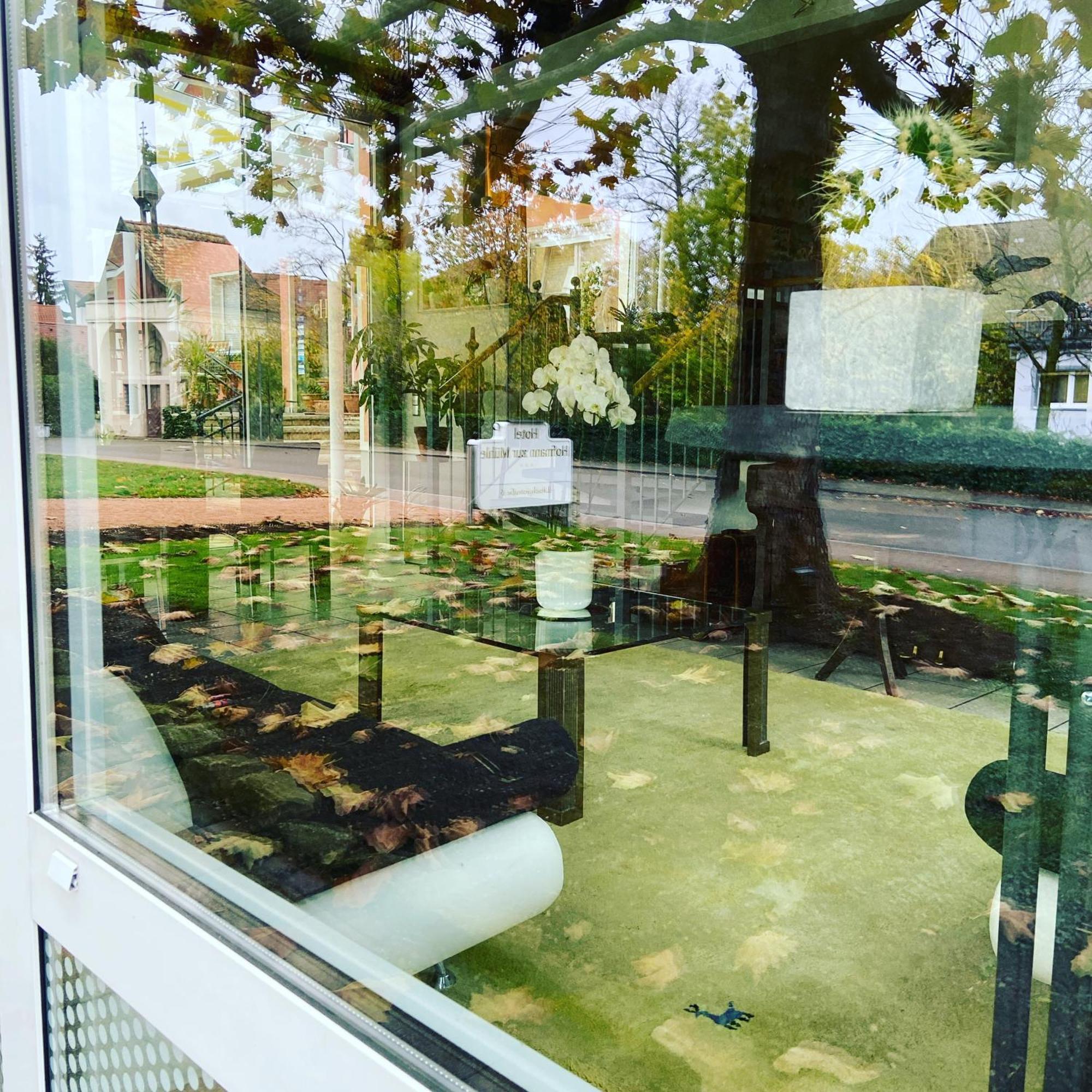 Hotel Hofmann Zur Muehle Bad Krozingen Εξωτερικό φωτογραφία